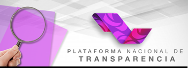 Plataforma Nacional de Transparenci